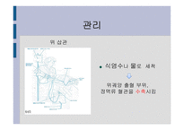간호학 문맥 성고 혈압 과식 도정 맥류 간호-11