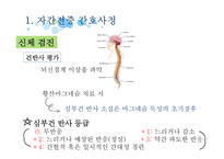 간호학 자간전증 간호 사정 진단-8