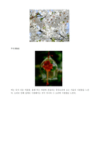일본문화 레포트-6