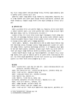 소설가 나도향羅稻香분석-5