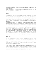 톨스토이 전쟁과 평화 작품 분석-4