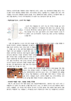 국익을 위한 해외지역 답사 일본의 문화콘텐츠를 이용한 랜드마크-3