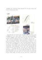 세종대왕의 국가경영 신소재 공학부-3